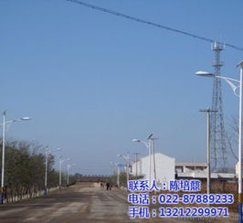点亮乡村夜空 天津恒利达路灯厂新农村太阳能路灯批发详解